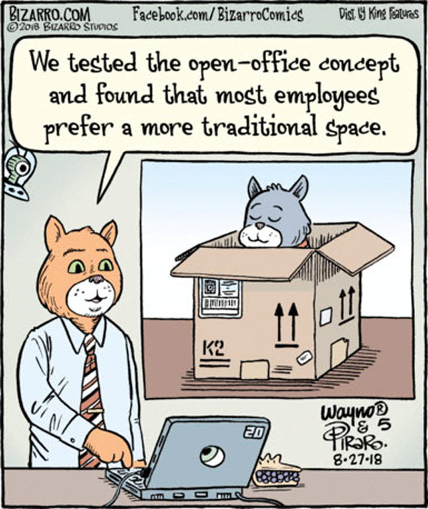cat in box comic