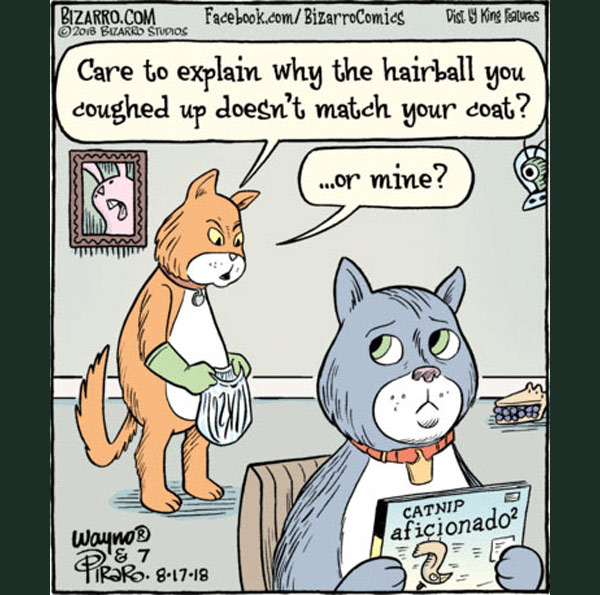 cat infidelity comic