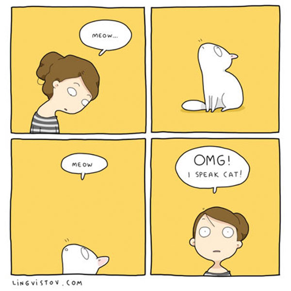 cat languaeg comic