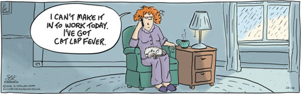cat lap fever comic