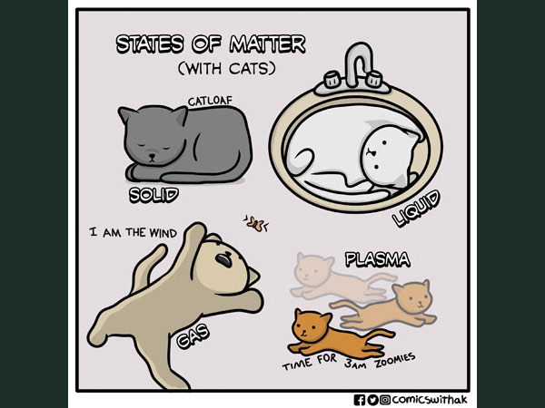 the matter states of cats
