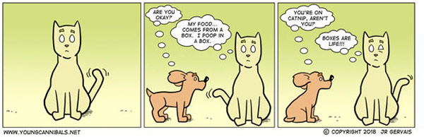 cat cat on catnip comic comic