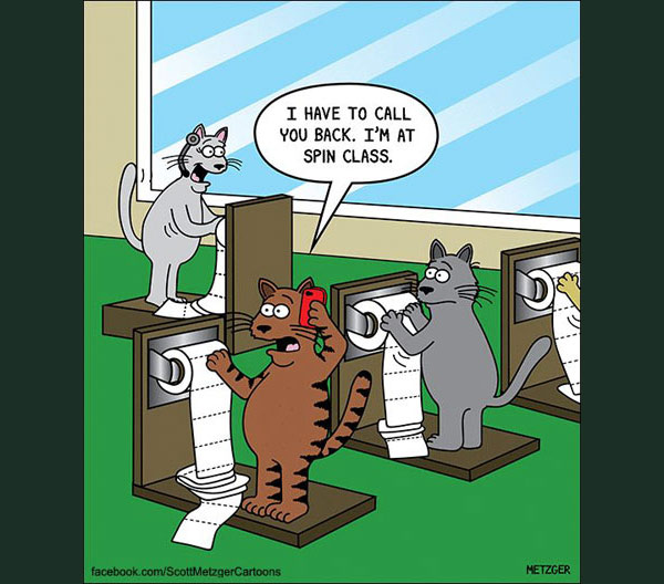 cats exercising comic