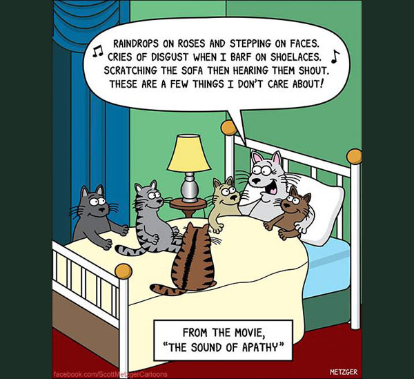 cats singing comic
