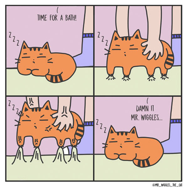 clingy cat comic