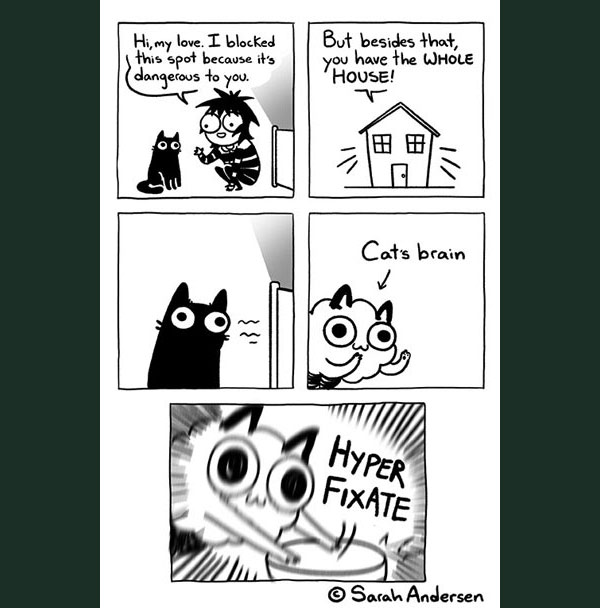 crazy cat  comic