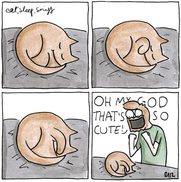 cute sleeping cat comic