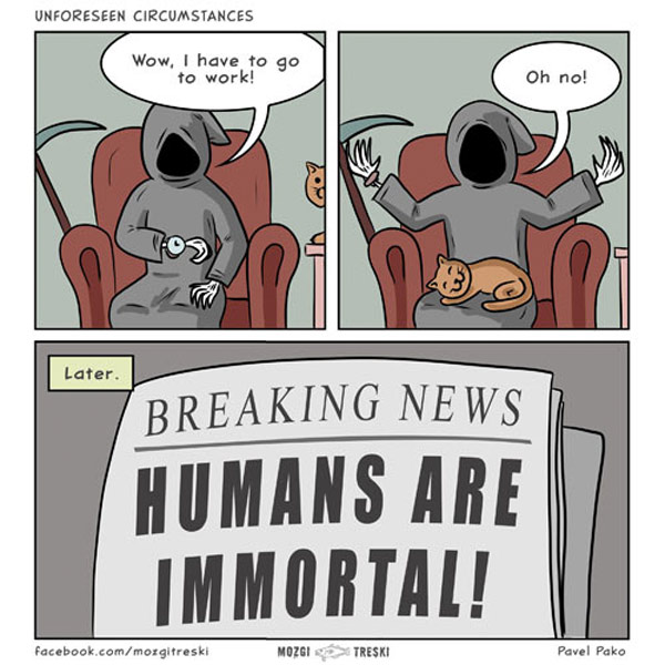 deaht's cat comic