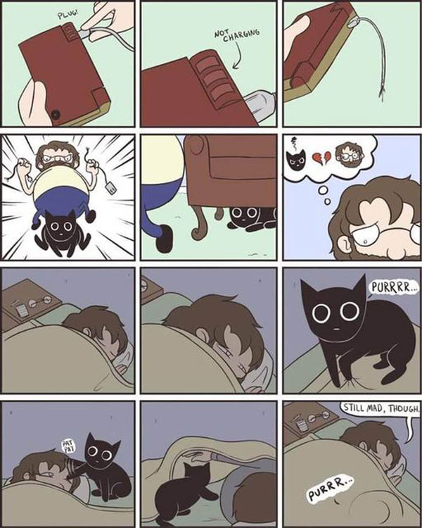destructive cat comic