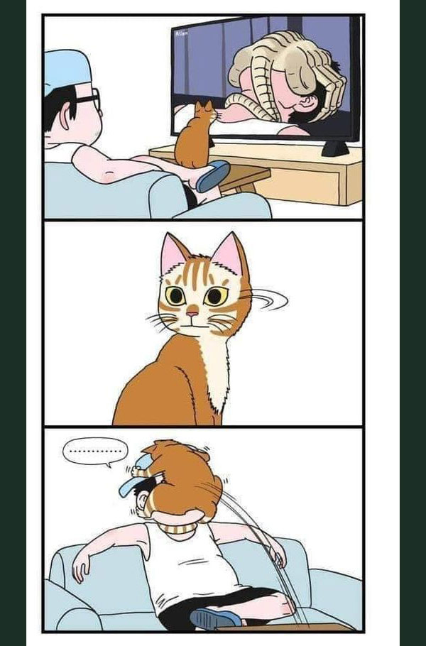 face-hugger cat  comic