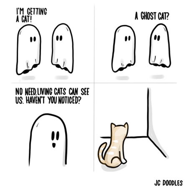 ghost cat comic