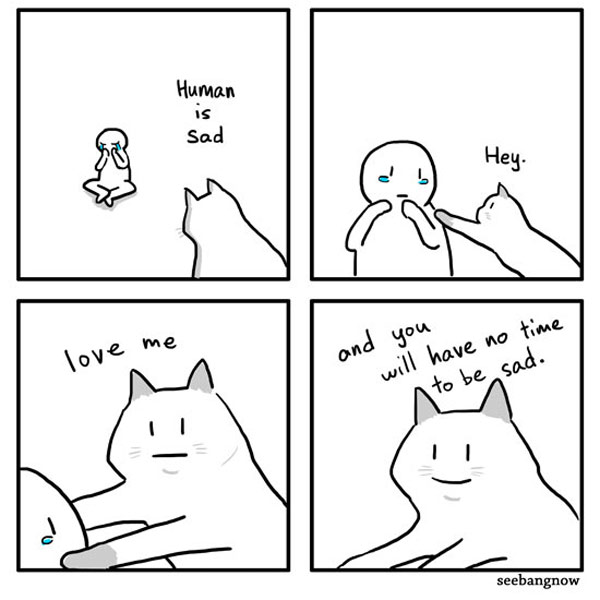 happy cat comic