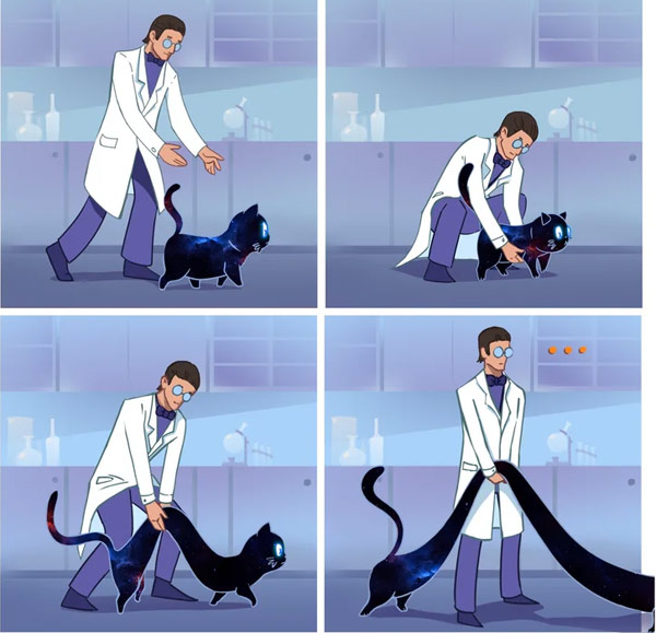long cat comic