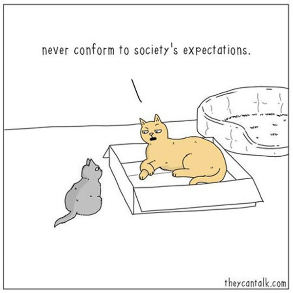 noncomformist cat comic
