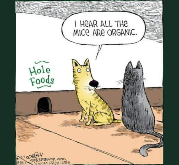 organic mice comic