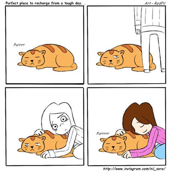 recharge with cats  comic