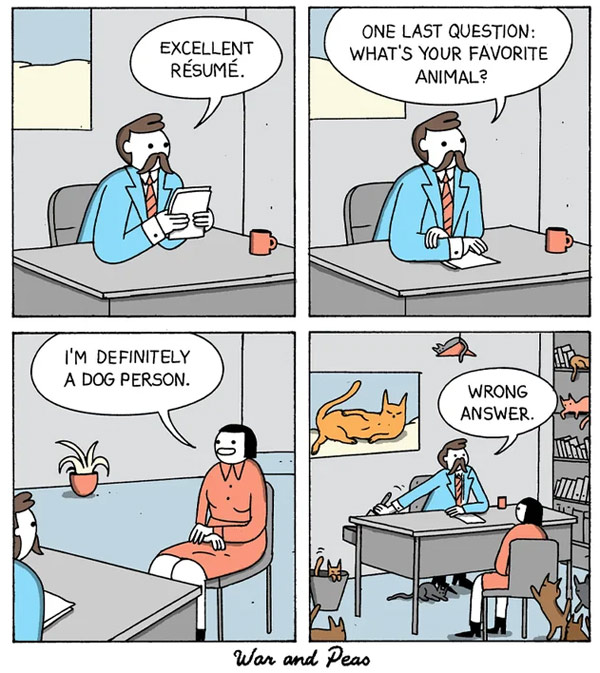 resume cat comic