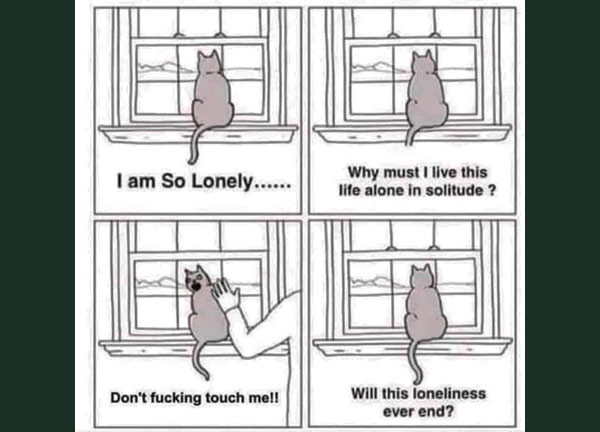 self pity cat  comic