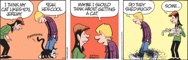 shedding cat comic