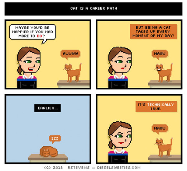 sleeping cat  comic