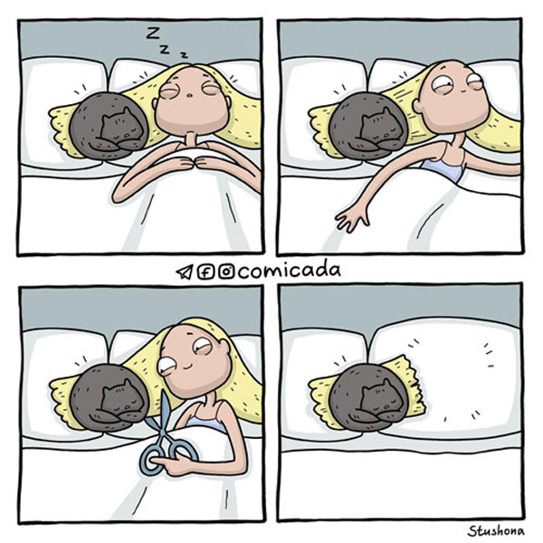 sleeping with  cat comic