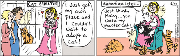 starter cat comic