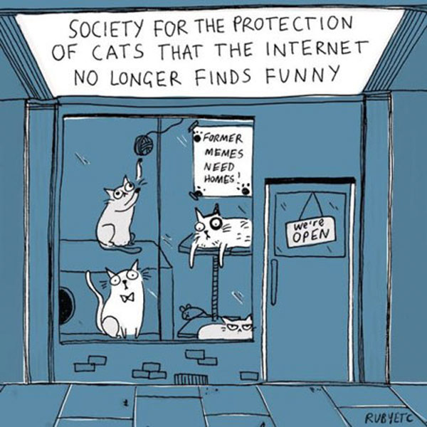 unfunny cat comic