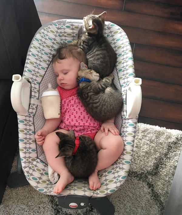 baby asleep with kittens