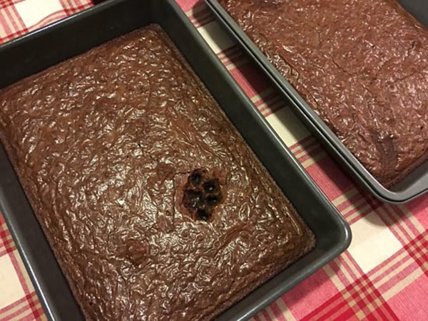 cat paw print in brownies