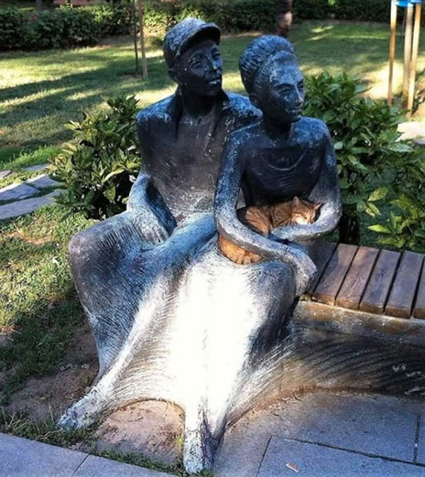 cat sleeping on sculpture