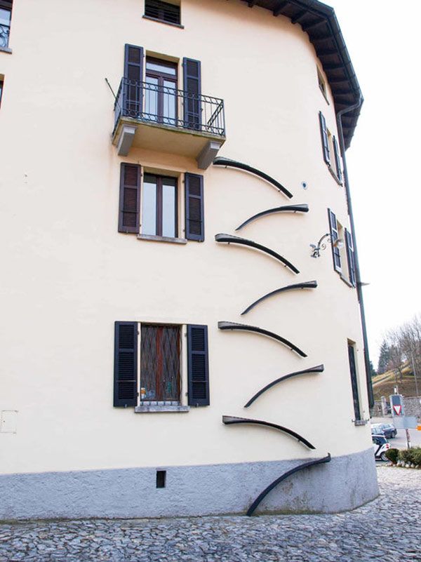 cat ladder up wall