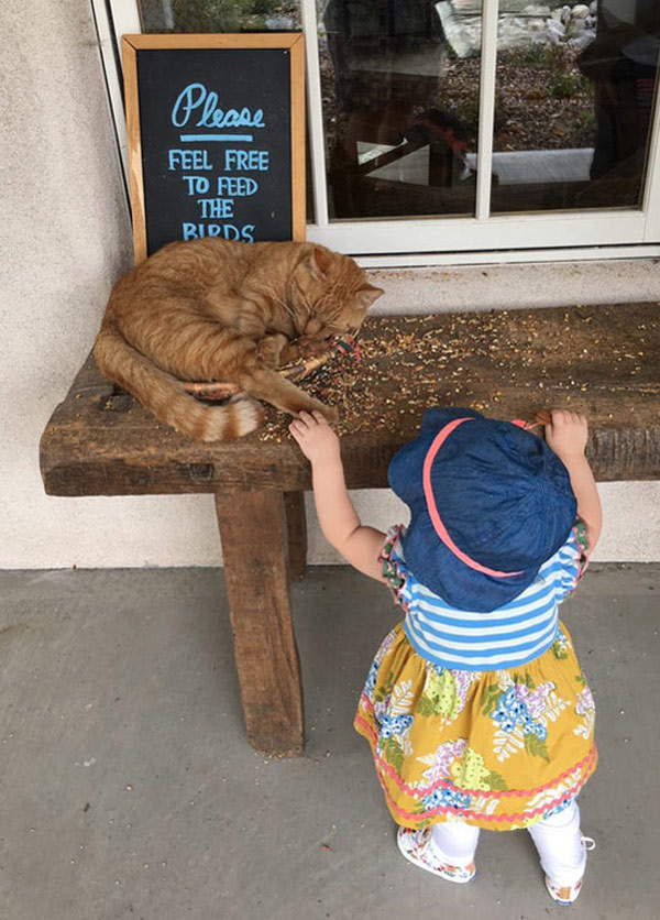 cat sleeping kid