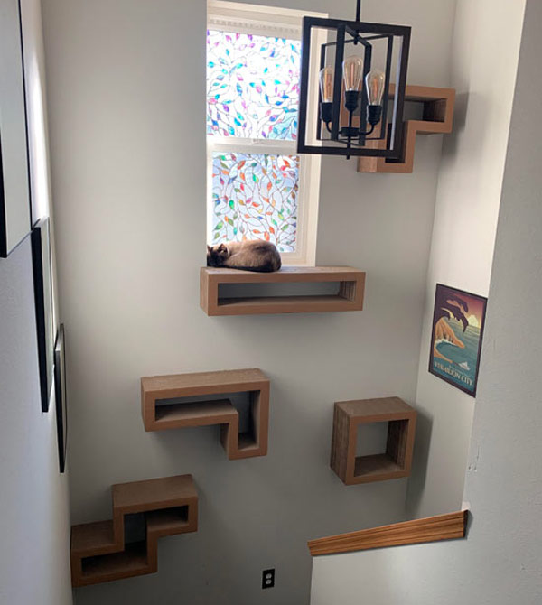 cat tetris