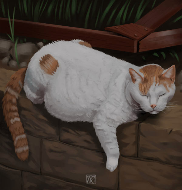 cat on wall art