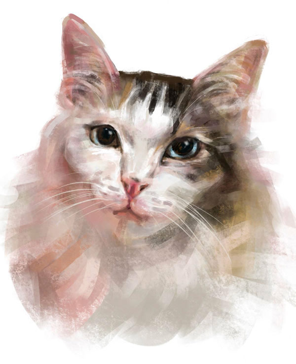 pastel  cat art