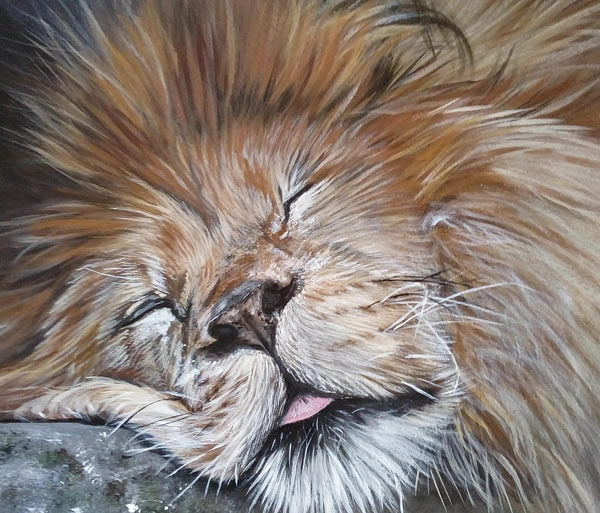 sleeping lion art