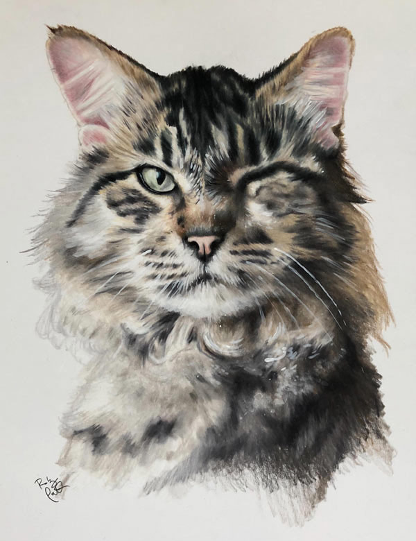 winking cat portrait