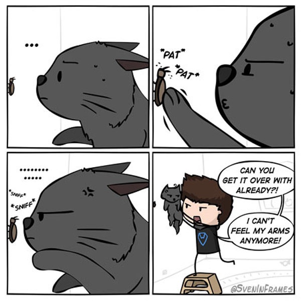bug killr cat comic