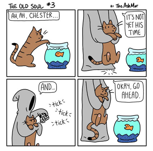 cat attacks goldfish  comic