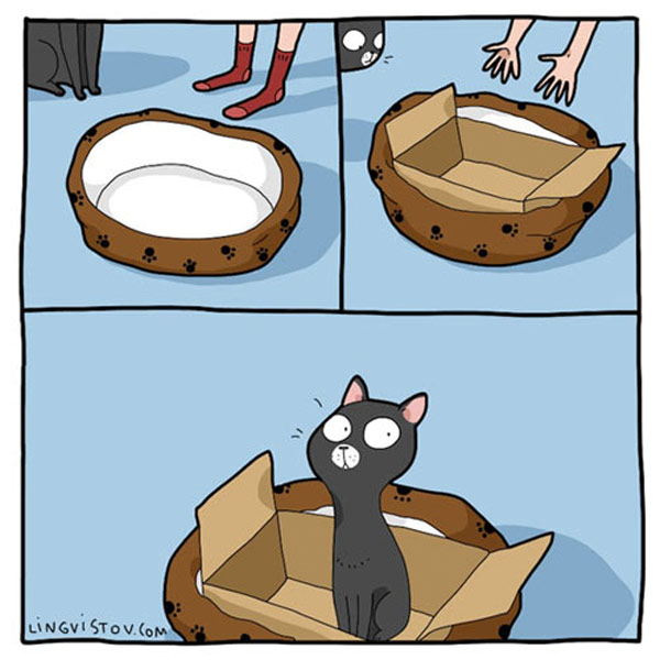 cat in box comic