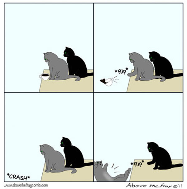 cat flipping comic