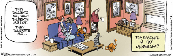 cat ownership comic
