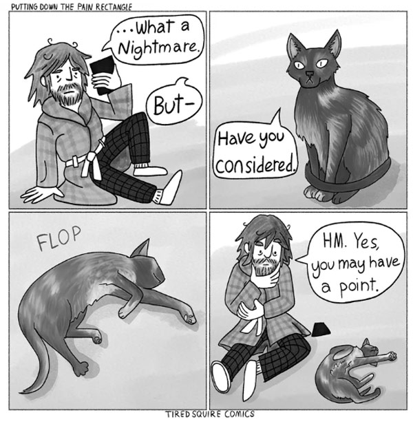 philosophic cat comic