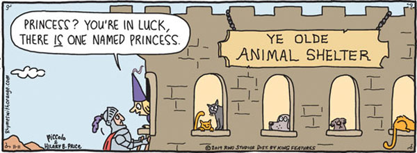 cat shelter comic