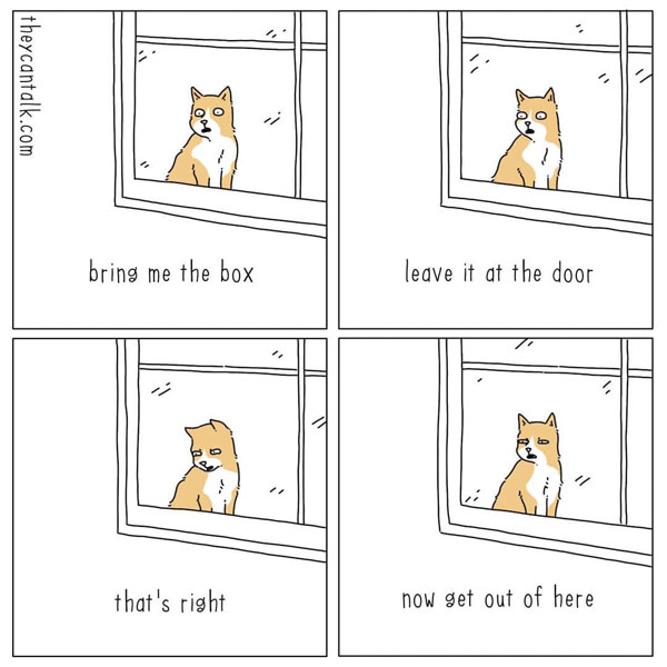 delivery cat comic
