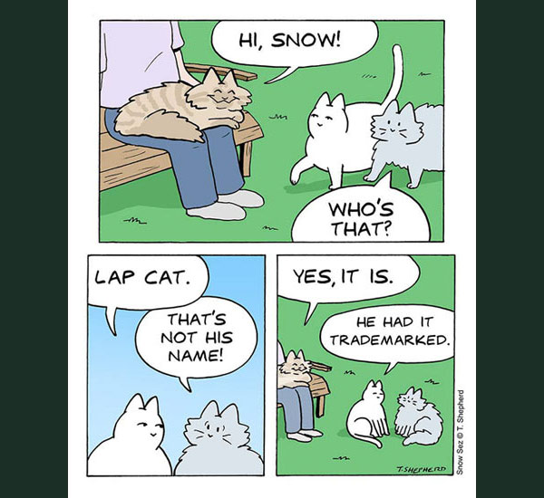 lap cat comic