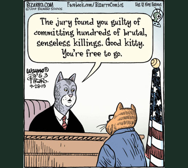 murder cat comic