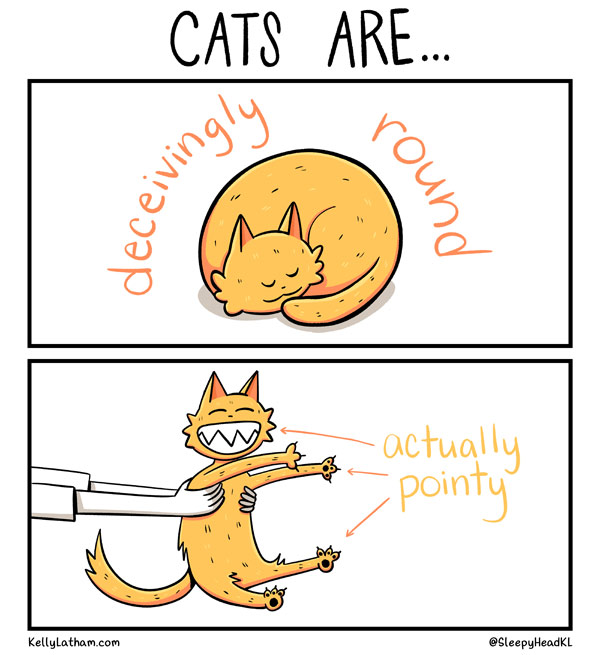 pointycat comic