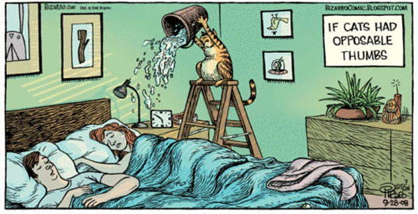 if cats had thumbs comic