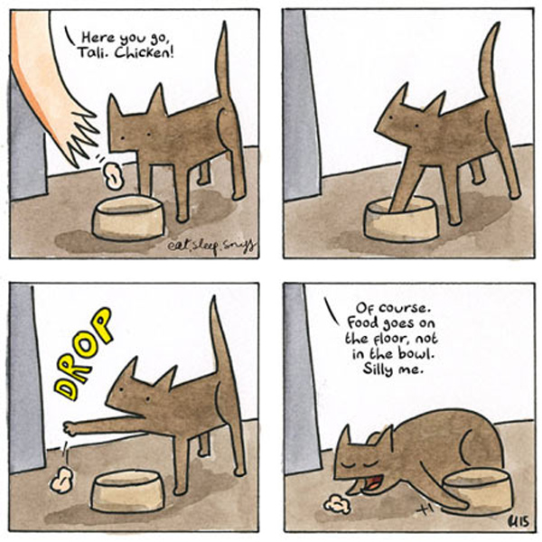 food on floor cat comic
